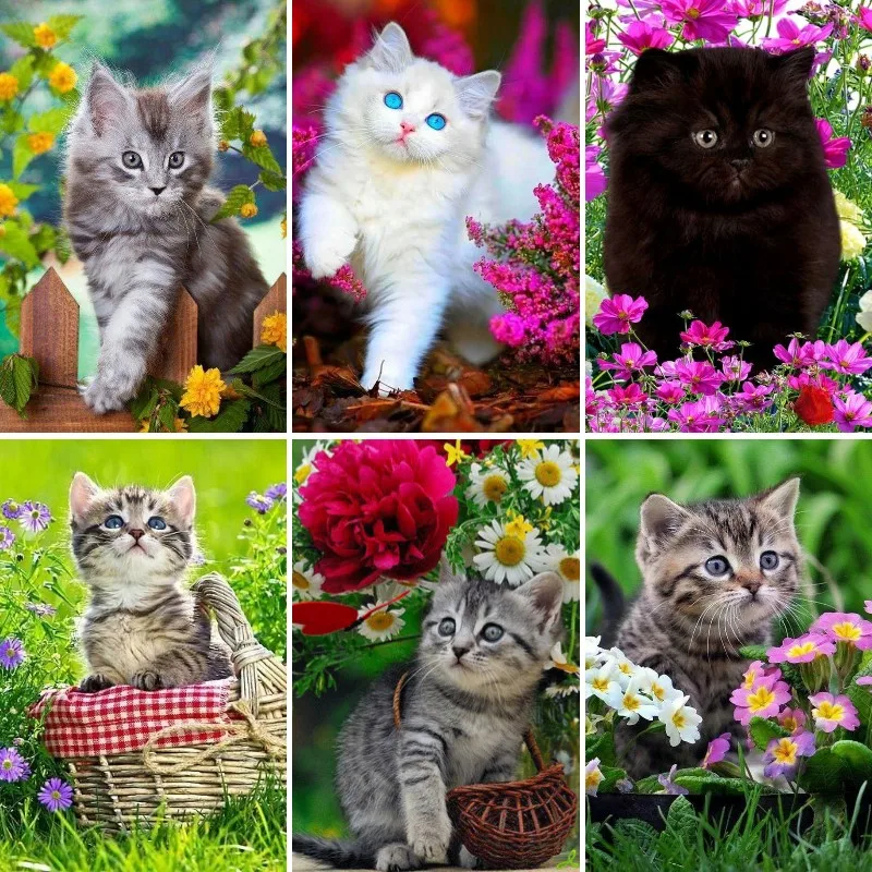 DIY 5D Diamond Painting Kits B - đánh giá và giá Resin Art Baby