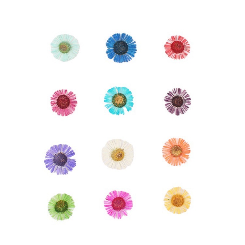1 Set Pressed Dried Flower Eri - đánh giá và giá Resin Art Baby