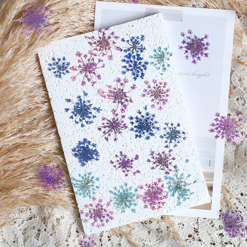 24pcs, 2-2.5cm, Nature Dyed Mi - đánh giá và giá Resin Art Baby